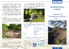 DRANSDORFER BACH FLYER  VORDERSEITE